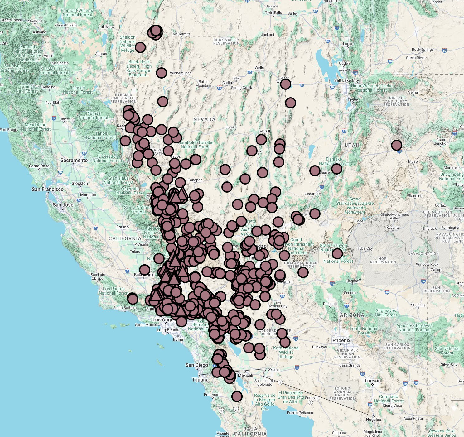 Ephedra nevadensis map cch2