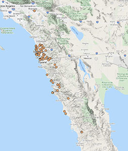 Ferocactus_viridescens-CCH2 map