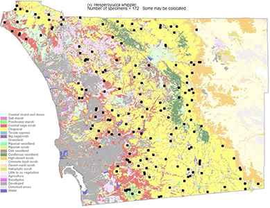 Hesperoyucca_whipplei-SD map