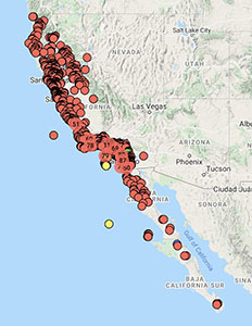 Heteromeles arbutifolia distribution map cch2