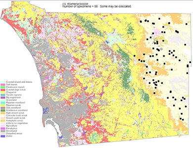 Krameria bicolor map: SDPA