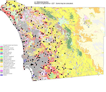 Malosma_laurina-SDPA map