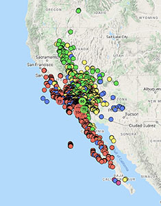 Mirabilis laevis distribution map cch2