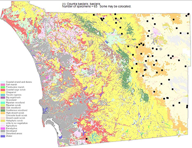 Opuntia basilaris map SDPA