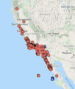 Rhus integrifolia distribution map cch2