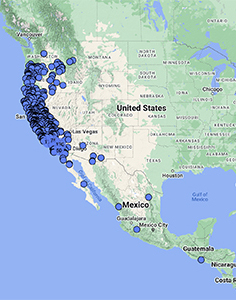 Sambucus mexicana distribution map CCH2