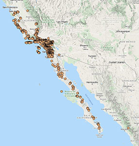 Selaginella_bigelovii-CCH2-r300h.jpg map