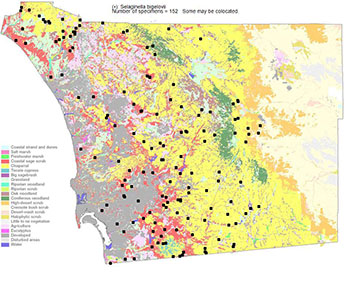 Selaginella_bigelovii-SDPA-r300h.jpg map