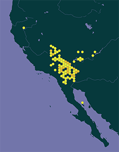 Distribution map2: Plagiobothrys jonesii
